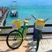 12308497_1058810544142771_1796338295267826662_n 12308497_1058810544142771_1796338295267826662_n